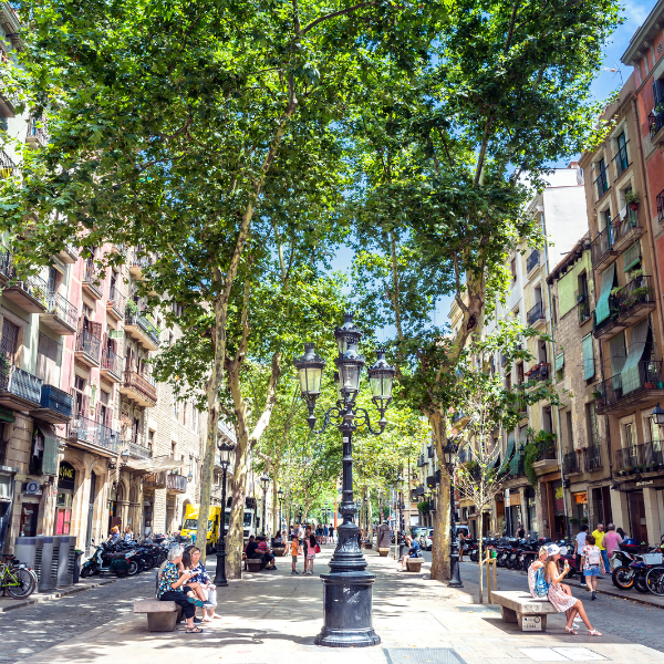 Bares de tapas en el barrio del Born, Barcelona