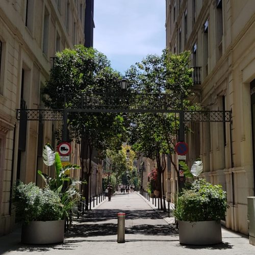 Passatge Concepcio